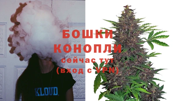 дурь Волоколамск