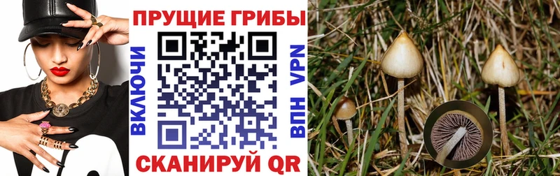 Псилоцибиновые грибы ЛСД  купить наркотики сайты  darknet формула  Тбилисская 