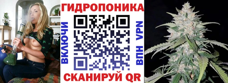 наркота  Тбилисская  Конопля марихуана 